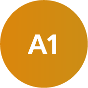 A1 A1