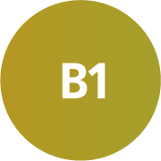 B1 B1